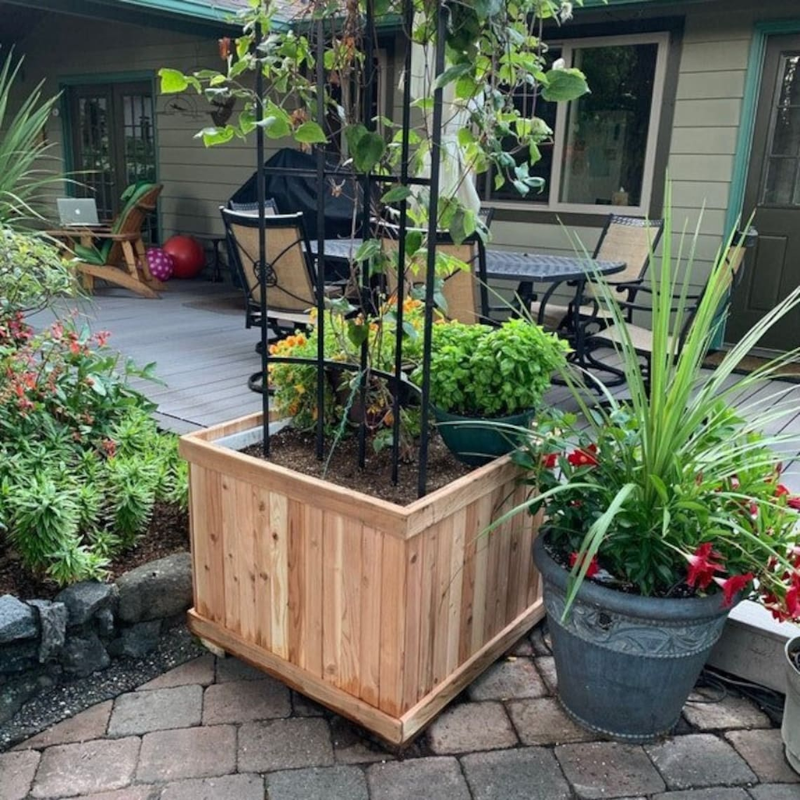 Square Cedar Planter Box – Outdoor Garden Planter – 12" x 12" x 12"