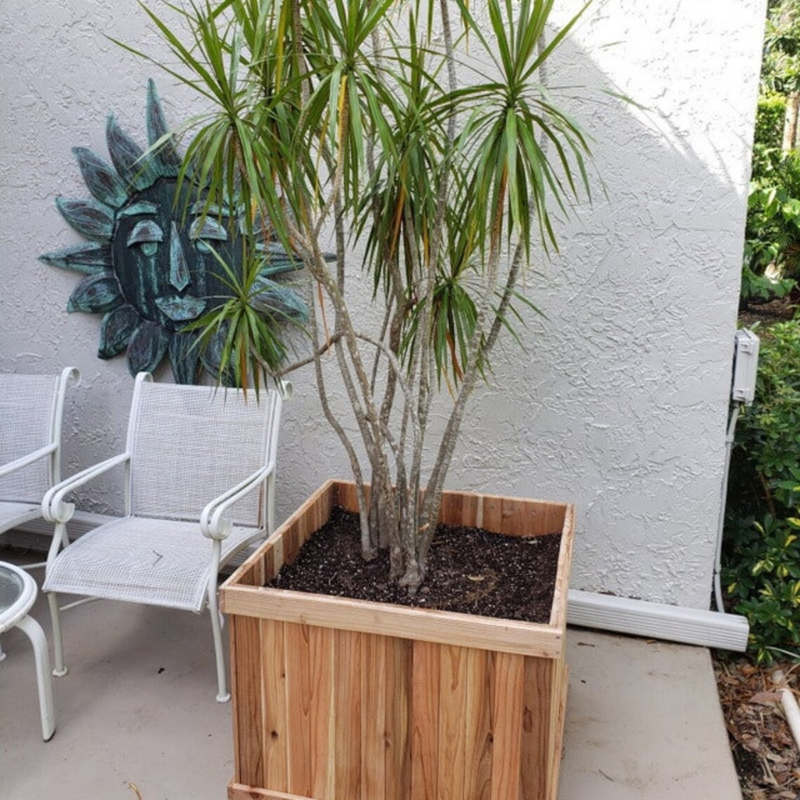 Square Cedar Planter Box – Outdoor Garden Planter – 12" x 12" x 12"